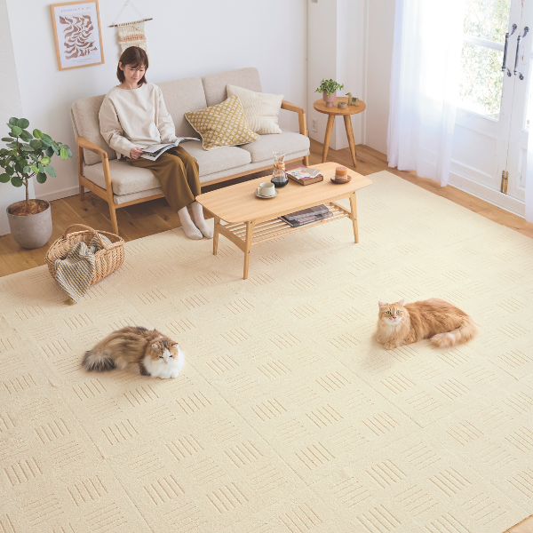 ピタプラス・ブリック　６０×６０ ベージュ