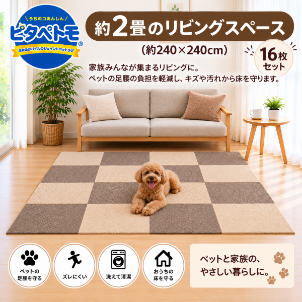 ピタプラス・ブリック　６０×６０ 16枚使用
