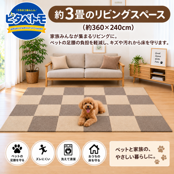 ピタプラス・ブリック　６０×６０ 24枚使用