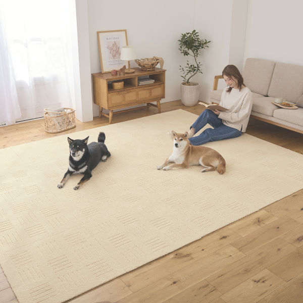 ピタプラス・ブリック　６０×６０ 