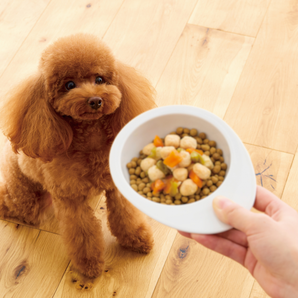 ＰＥＰＰＹ　ＬＩＦＥ　わんデリ(犬 トッピング） 