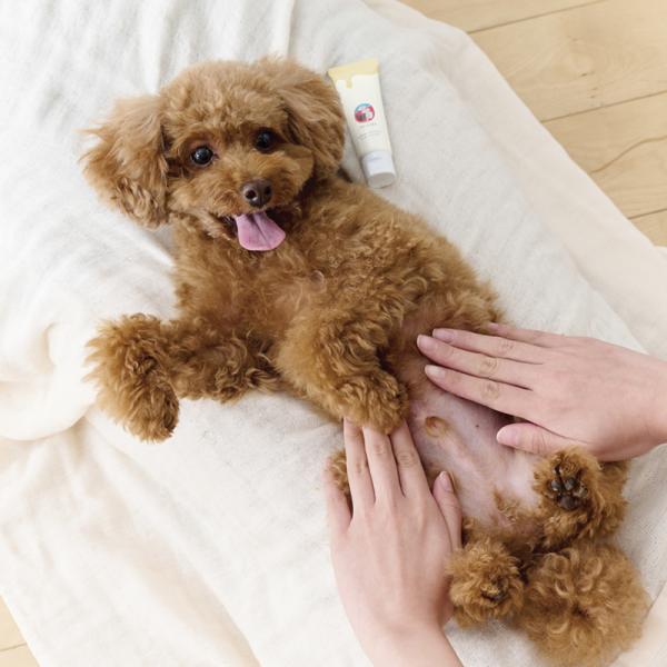 マルーク　犬猫用　全身に使えるマヌカスキンクリーム お腹や首まわり、鼻、肉球にも！