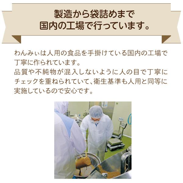 Ｓｉｐｐｏｌｅ　プレミアム　わんみぃ　サーモン　訳あり品 