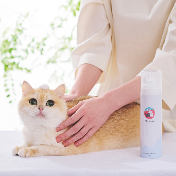 マルーク　犬猫用洗い流さない炭酸シャンプー 