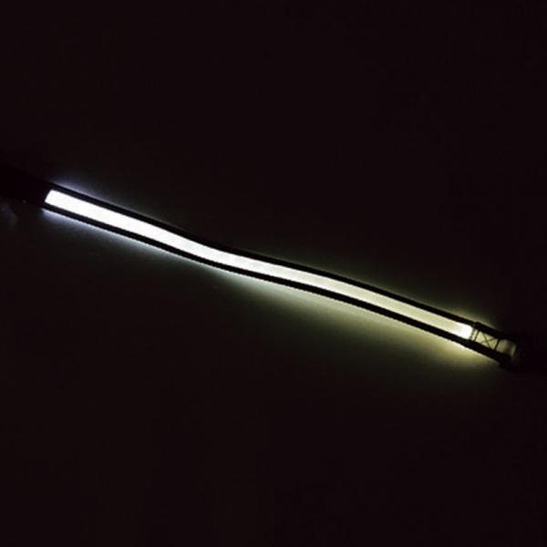 LIFELIKE（ライフライク）　ナイトウォークハンズフリーリード LEDライトで暗い道でも安心！