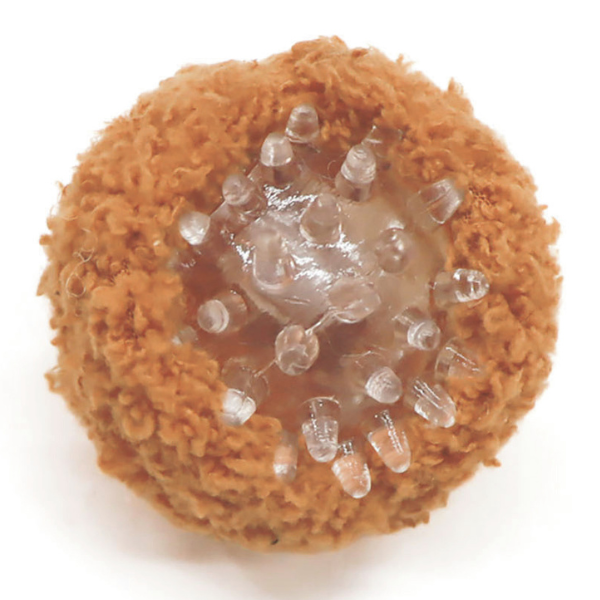 コートカラースパイクボール スパイクボール入り。中わたがないので、壊してわたを出して遊んでしまう子におすすめ。