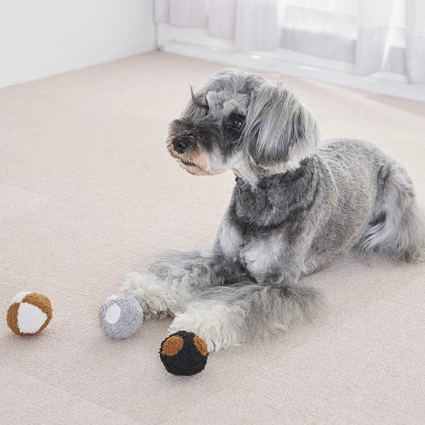 コートカラースパイクボール 