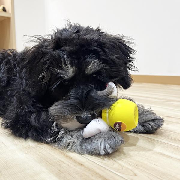 海のかくれんぼラテトイ がぶー！！