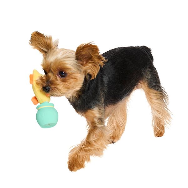 海のかくれんぼラテトイ 小さいわんちゃんもくわえやすいサイズ