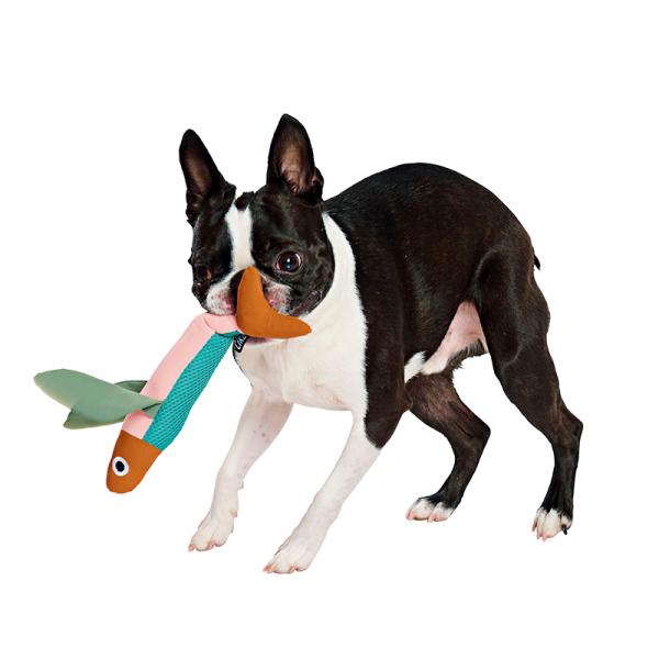 フィッシュプラッシュトイ トビウオ