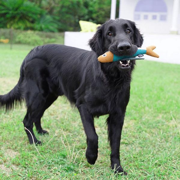 フィッシュプラッシュトイ 大きなわんちゃんにも！