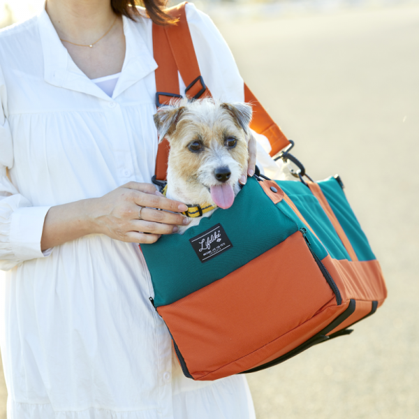 ドライブキャリーベッド ターコイズブルー