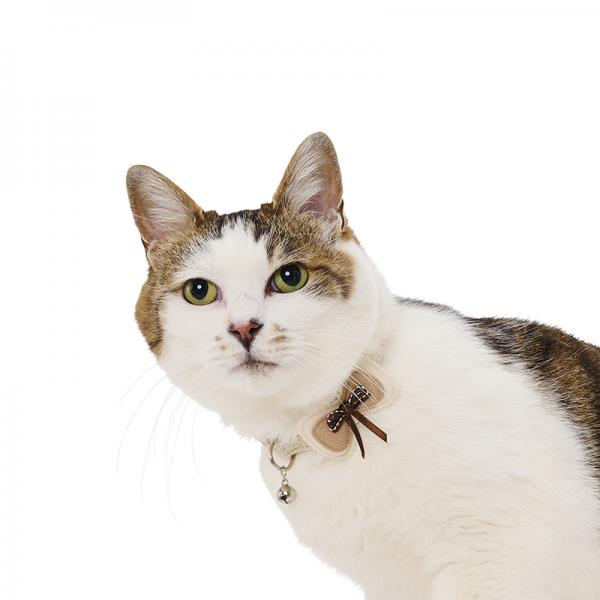 AZERIA（アゼリア）ナットキャット首輪 ハーモニー