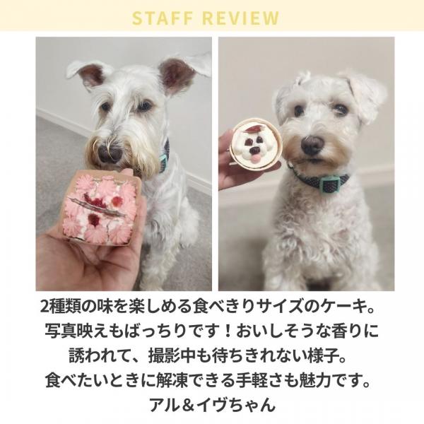 コミフ　やさしいスイーツＸｍａｓケーキセット【予約商品12月22日お届け】 