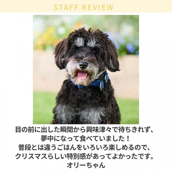 コミフデリ　Ｘｍａｓプレート【予約商品12月22日お届け】 