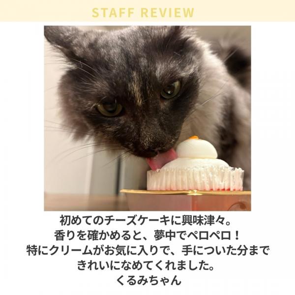 コミフ　Ｃａｔ＆Ｄｏｇのチーズケーキ風【予約商品12月22日お届け】 