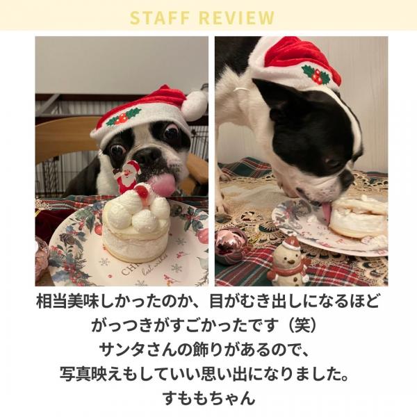 コミフ　サンタさんのＸｍａｓケーキ【予約商品12月22日お届け】 