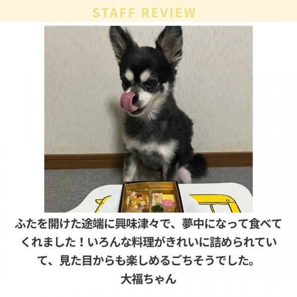 コミフデリ　玉手箱おせち【予約商品12月28日お届け】 
