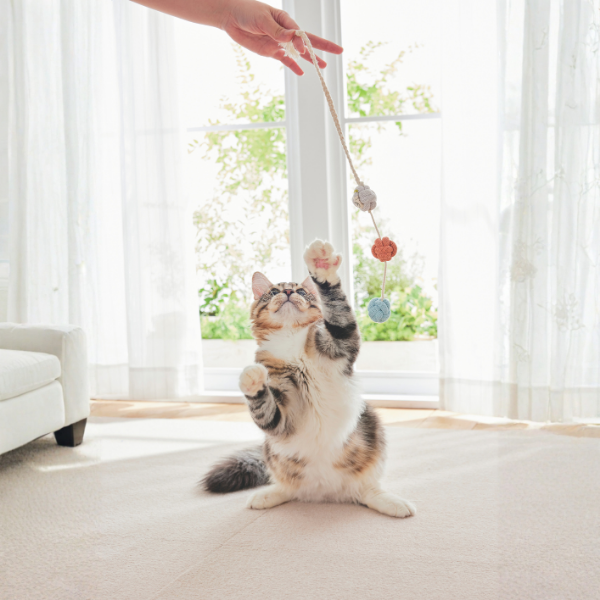 コトン   キャットボール＆テイル マリン