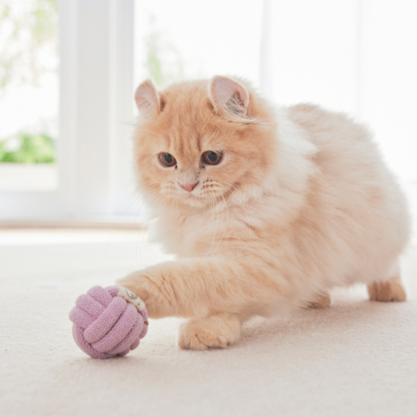 コトン キャットボール  ・ベル ローズ