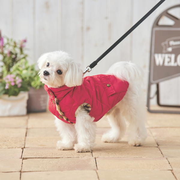 【Cinofilo（チノフィロ）】はっ水中綿キルトハイネック ブリックレッド （バスト38cmのサイズを着用 /モデルサイズ：バスト32cm）