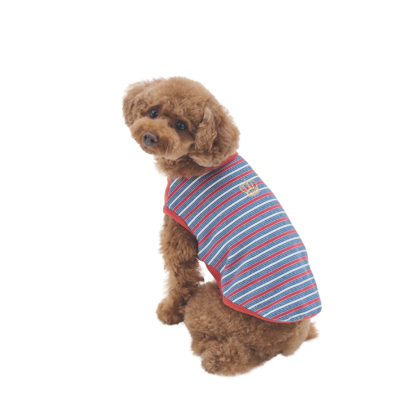 【Cinofilo（チノフィロ）】あったか素材ストレッチボーダーＴシャツ オレンジ （バスト40cmのサイズを着用 /モデルサイズ：バスト38cm）