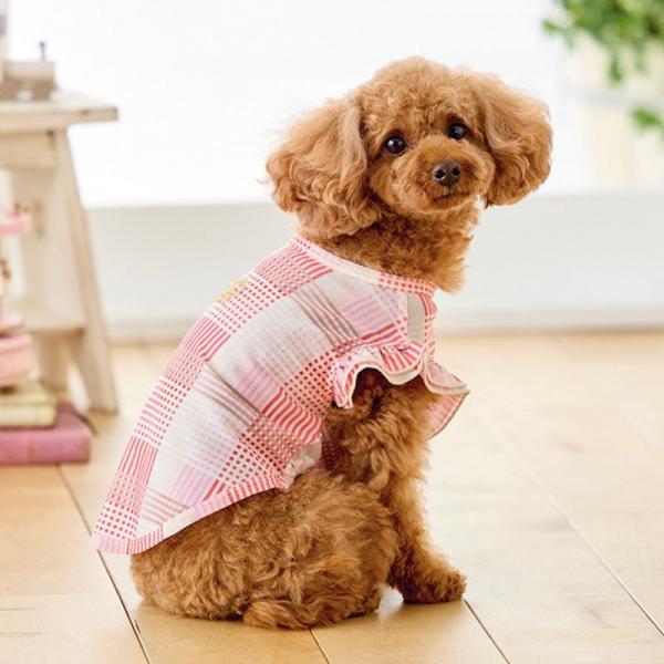 【Cinofilo（チノフィロ）】クールメッシュチェックＴシャツ ピンク/Mサイズを着用/モデルサイズ：37㎝