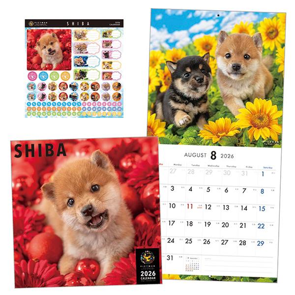 ピクトワンＬ版 カレンダー　２０２６ 柴犬