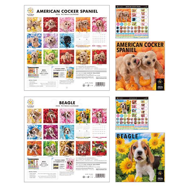 ピクトワンＬ版 カレンダー　２０２６ Aコッカー、ビーグル