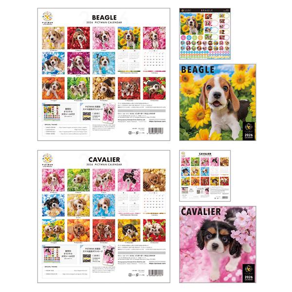 ピクトワンＬ版 カレンダー　２０２６ ビーグル、キャバリア