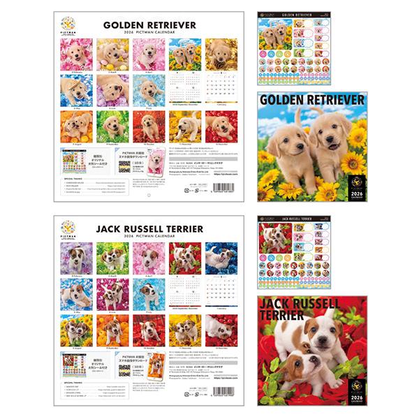 ピクトワンＬ版 カレンダー　２０２６ ゴールデン、ジャックラッセル