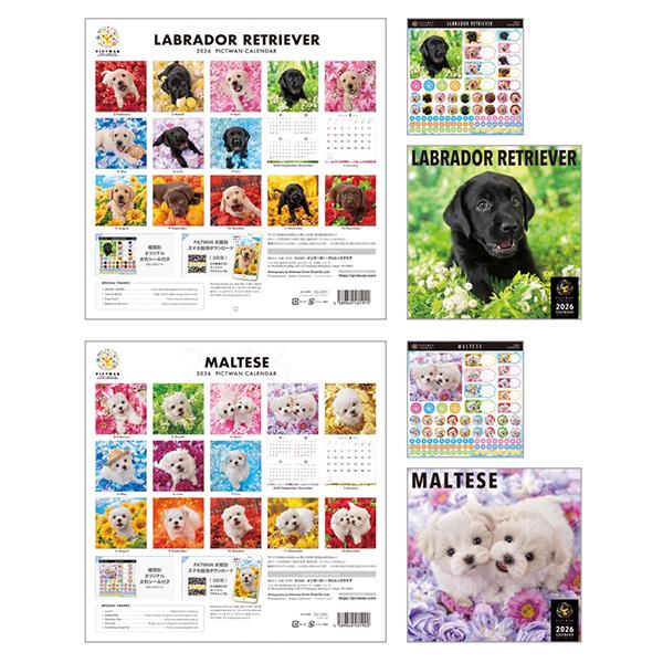 ピクトワンＬ版 カレンダー　２０２６ ラブラドール、マルチーズ