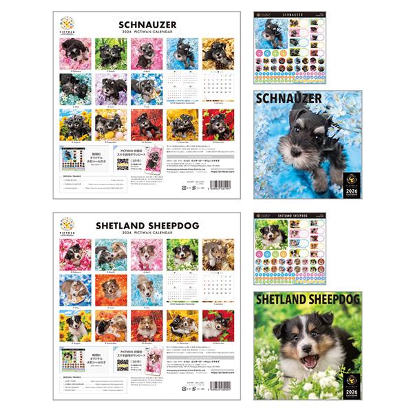 ピクトワンＬ版 カレンダー　２０２６ シュナウザー、シェルティ