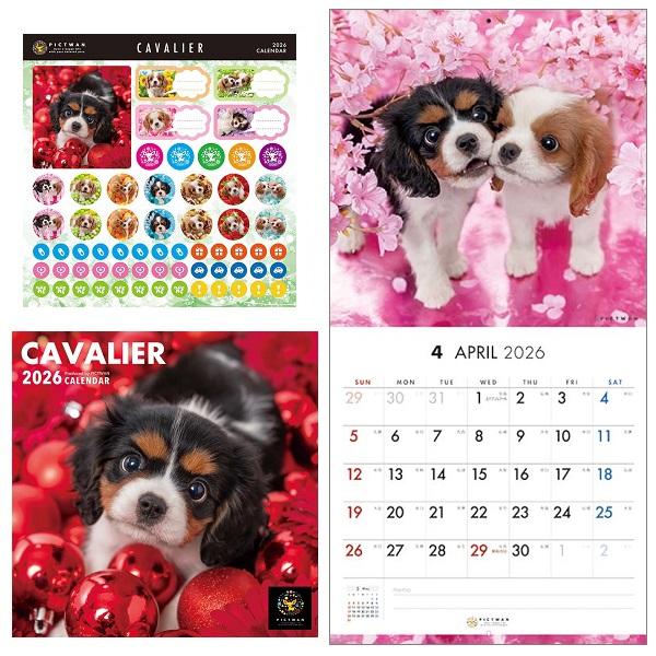 ピクトワンＳ版 カレンダー ２０２６ キャバリア