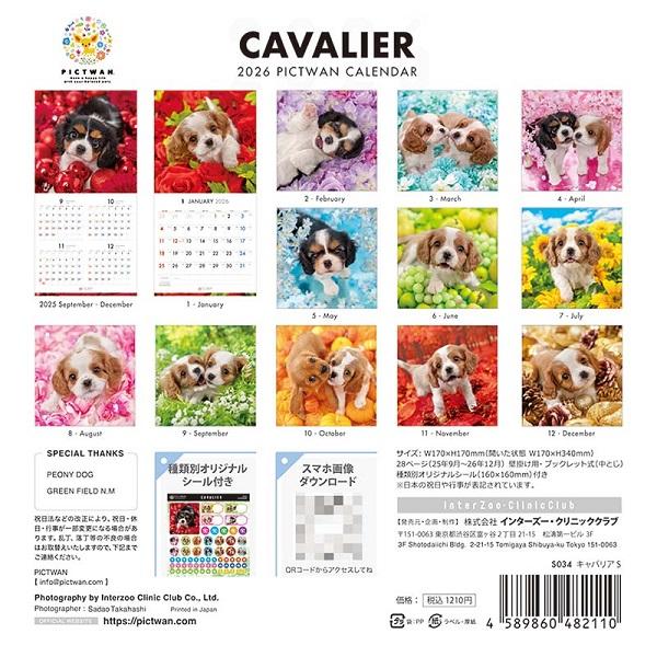 ピクトワンＳ版 カレンダー ２０２６ キャバリア