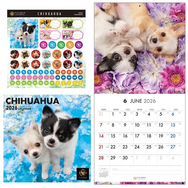 ピクトワンＳ版 カレンダー ２０２６ チワワ