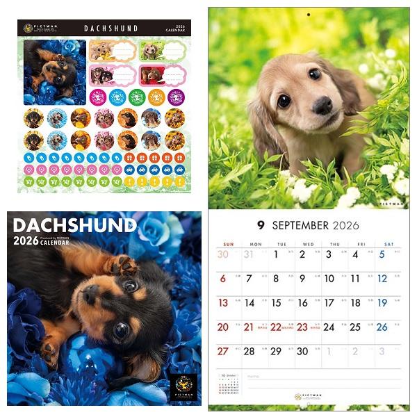 ピクトワンＳ版 カレンダー ２０２６ ダックス