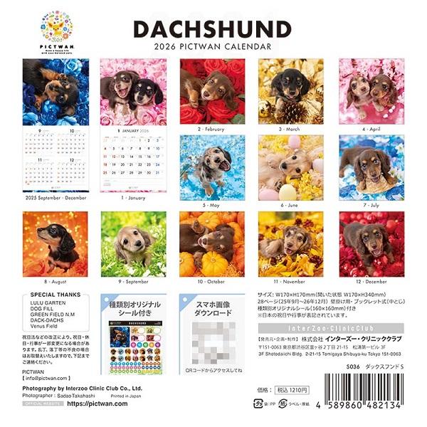 ピクトワンＳ版 カレンダー ２０２６ ダックス