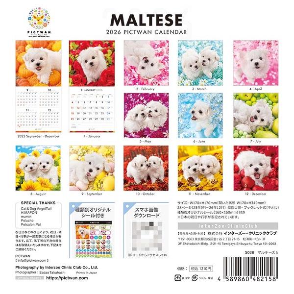 ピクトワンＳ版 カレンダー ２０２６ マルチーズ