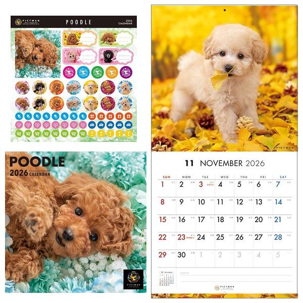 ピクトワンＳ版 カレンダー ２０２６ プードル