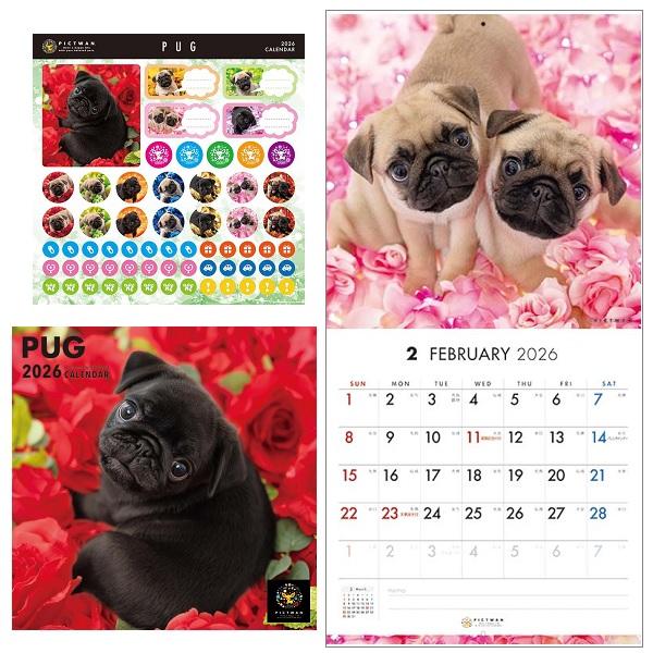 ピクトワンＳ版 カレンダー ２０２６ パグ