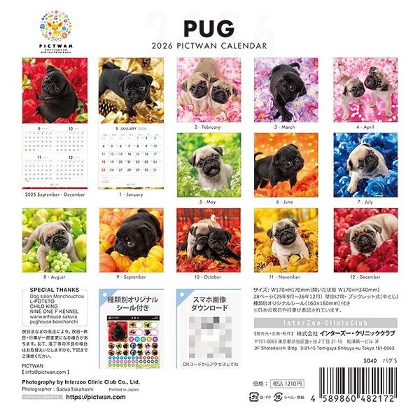 ピクトワンＳ版 カレンダー ２０２６ パグ
