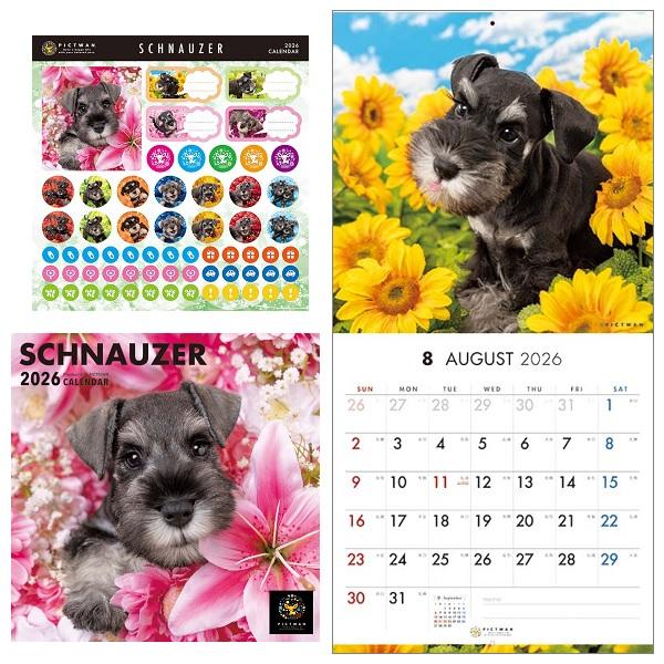 ピクトワンＳ版 カレンダー ２０２６ シュナウザー