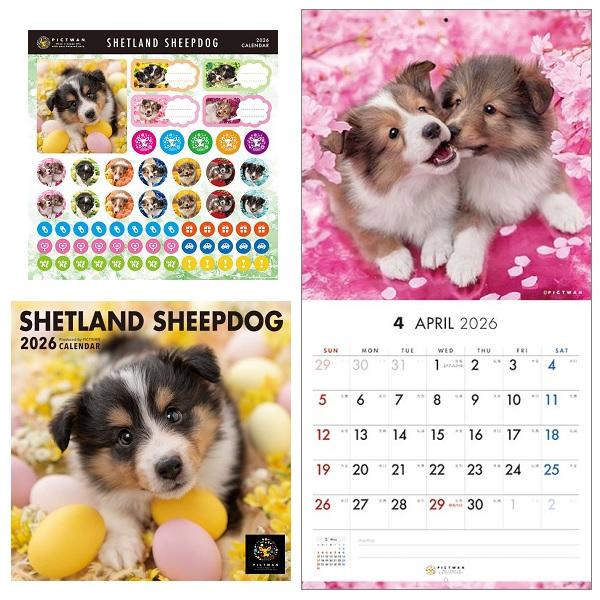 ピクトワンＳ版 カレンダー ２０２６ シェルティ