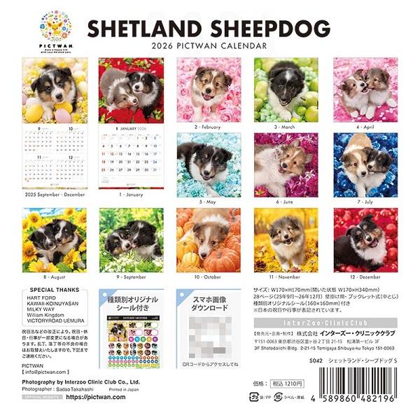 ピクトワンＳ版 カレンダー ２０２６ シェルティ