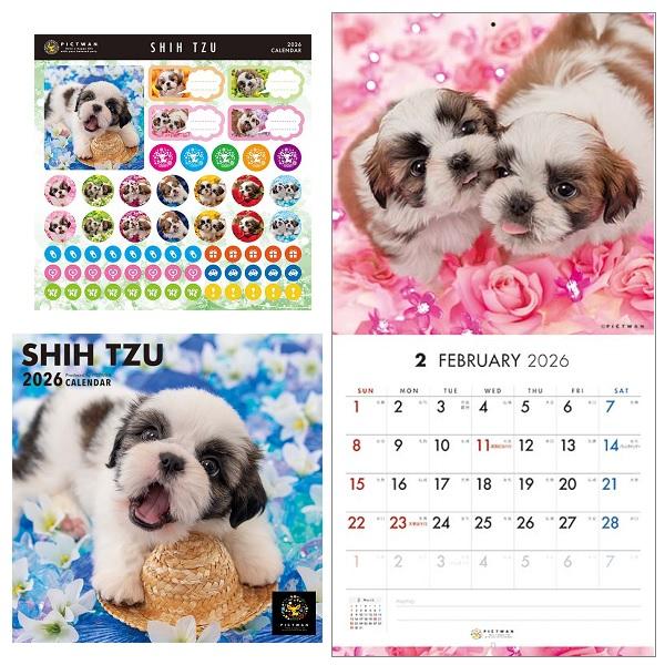 ピクトワンＳ版 カレンダー ２０２６ シーズー