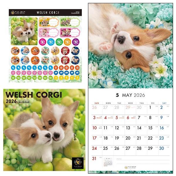 ピクトワンＳ版 カレンダー ２０２６ コーギー
