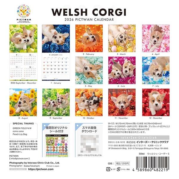ピクトワンＳ版 カレンダー ２０２６ コーギー