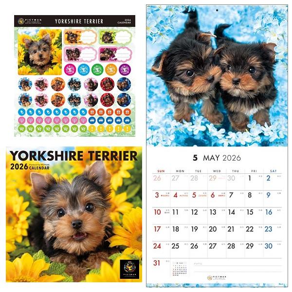 ピクトワンＳ版 カレンダー ２０２６ ヨークシャー