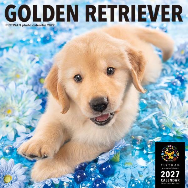 ピクトワンＬ版カレンダー２０２７ ゴールデン